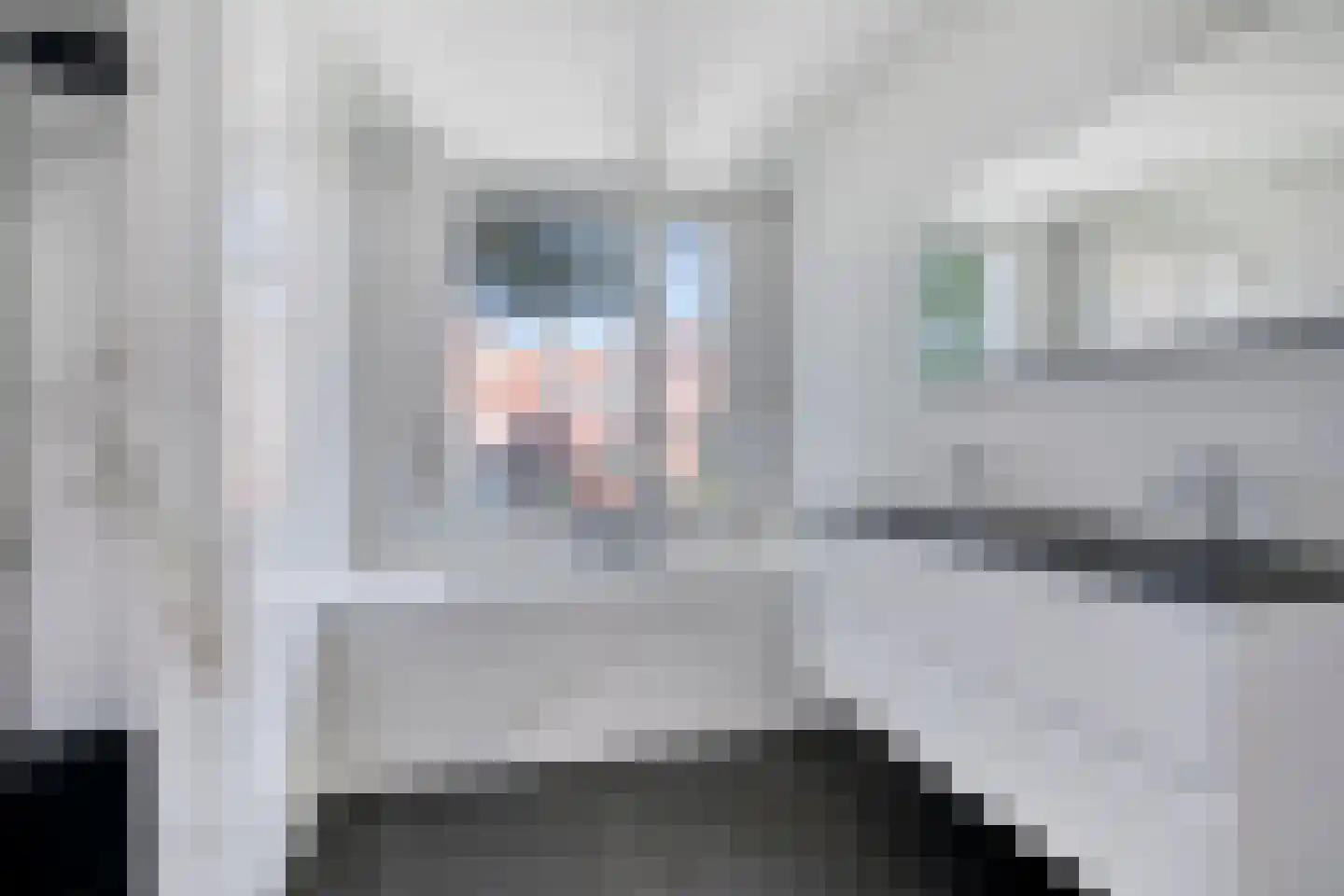 Korte Burg 11 Middelburg thumbnail 28