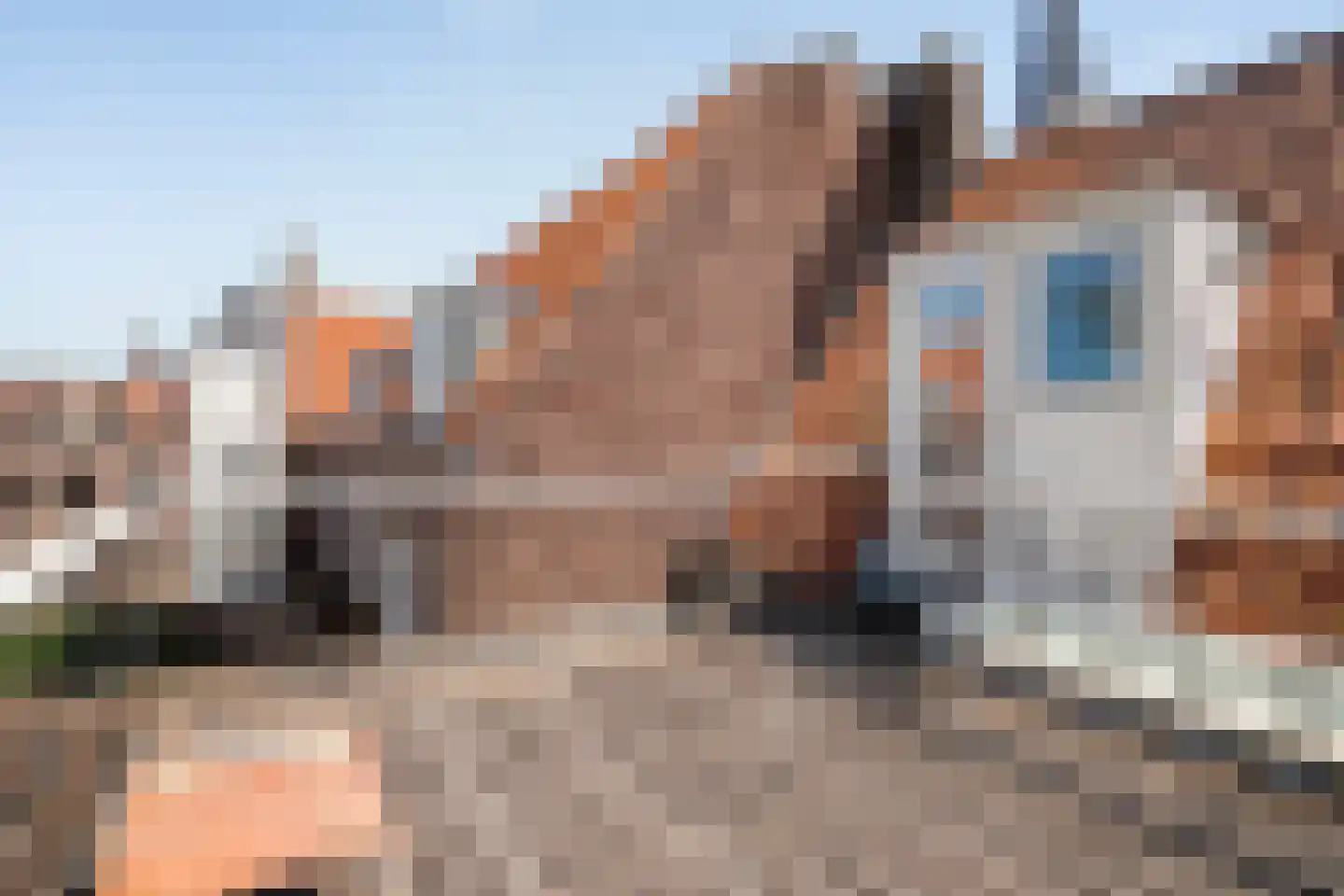 Korte Burg 11 Middelburg thumbnail 40