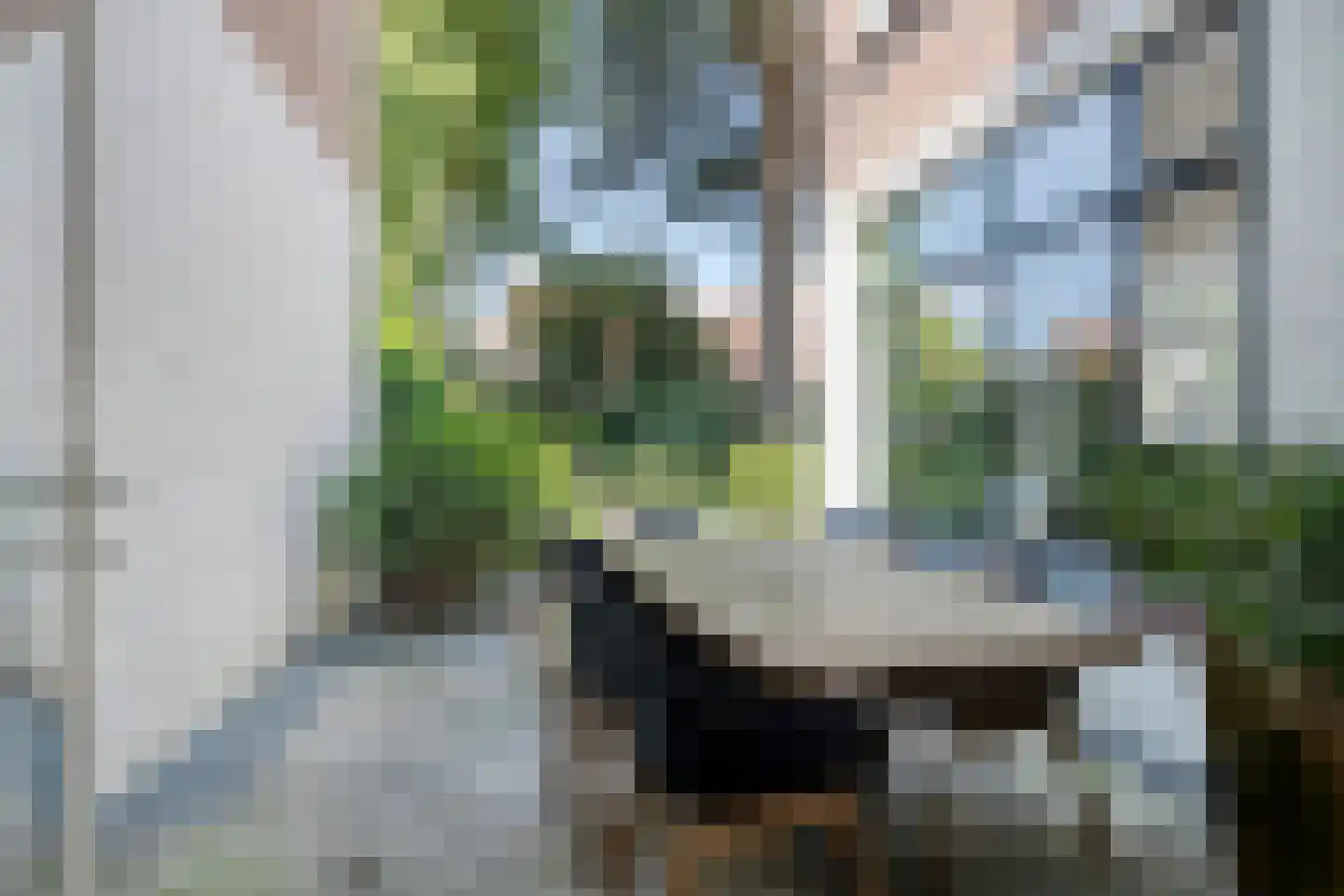 Korte Burg 11 Middelburg thumbnail 42