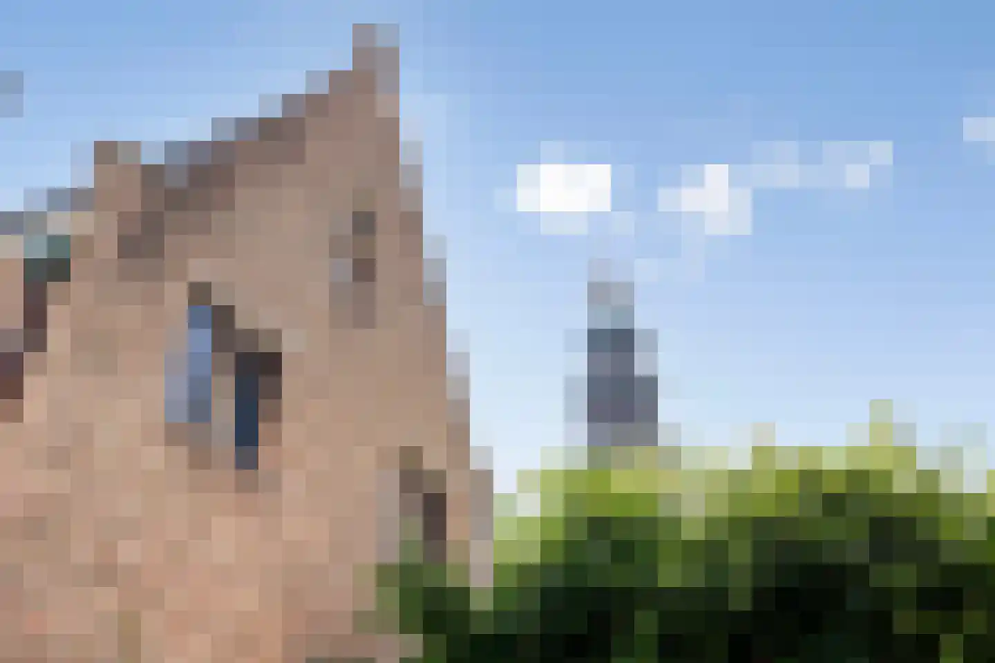 Korte Burg 11 Middelburg thumbnail 51