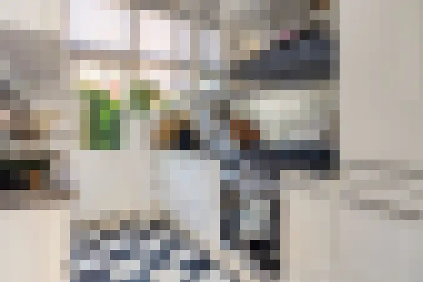 Korte Burg 13 Middelburg thumbnail 13