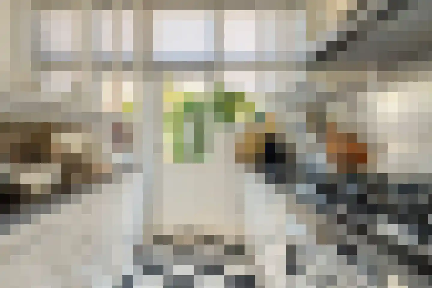 Korte Burg 13 Middelburg thumbnail 14