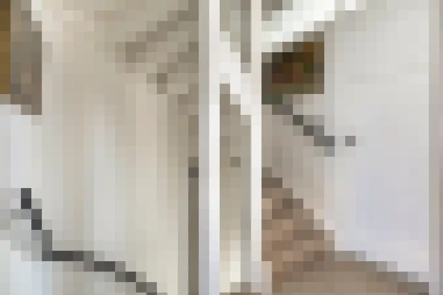 Korte Burg 13 Middelburg thumbnail 16