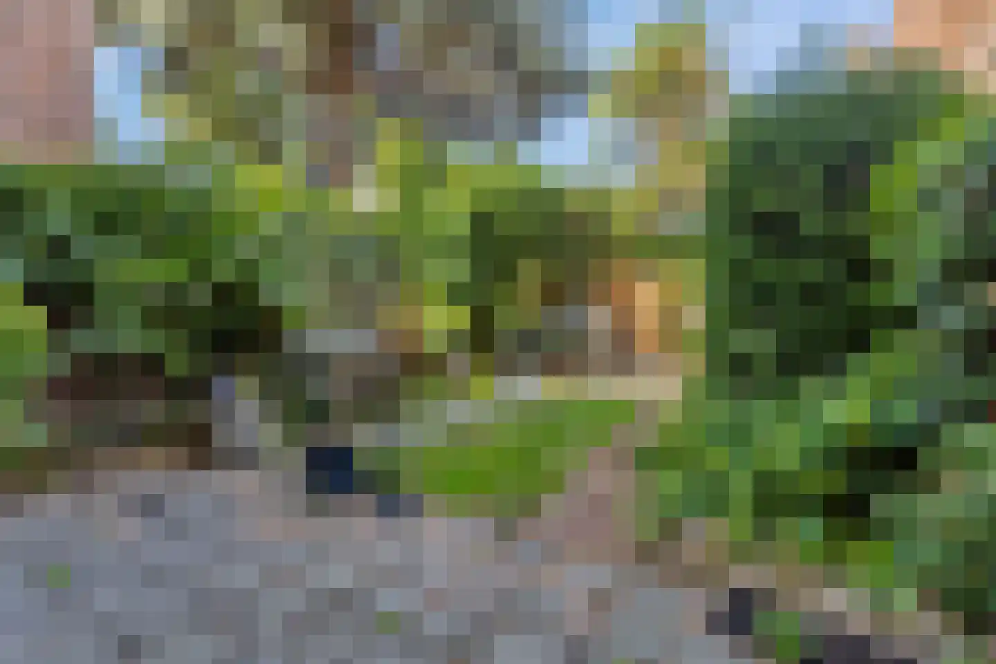 Korte Burg 13 Middelburg thumbnail 33