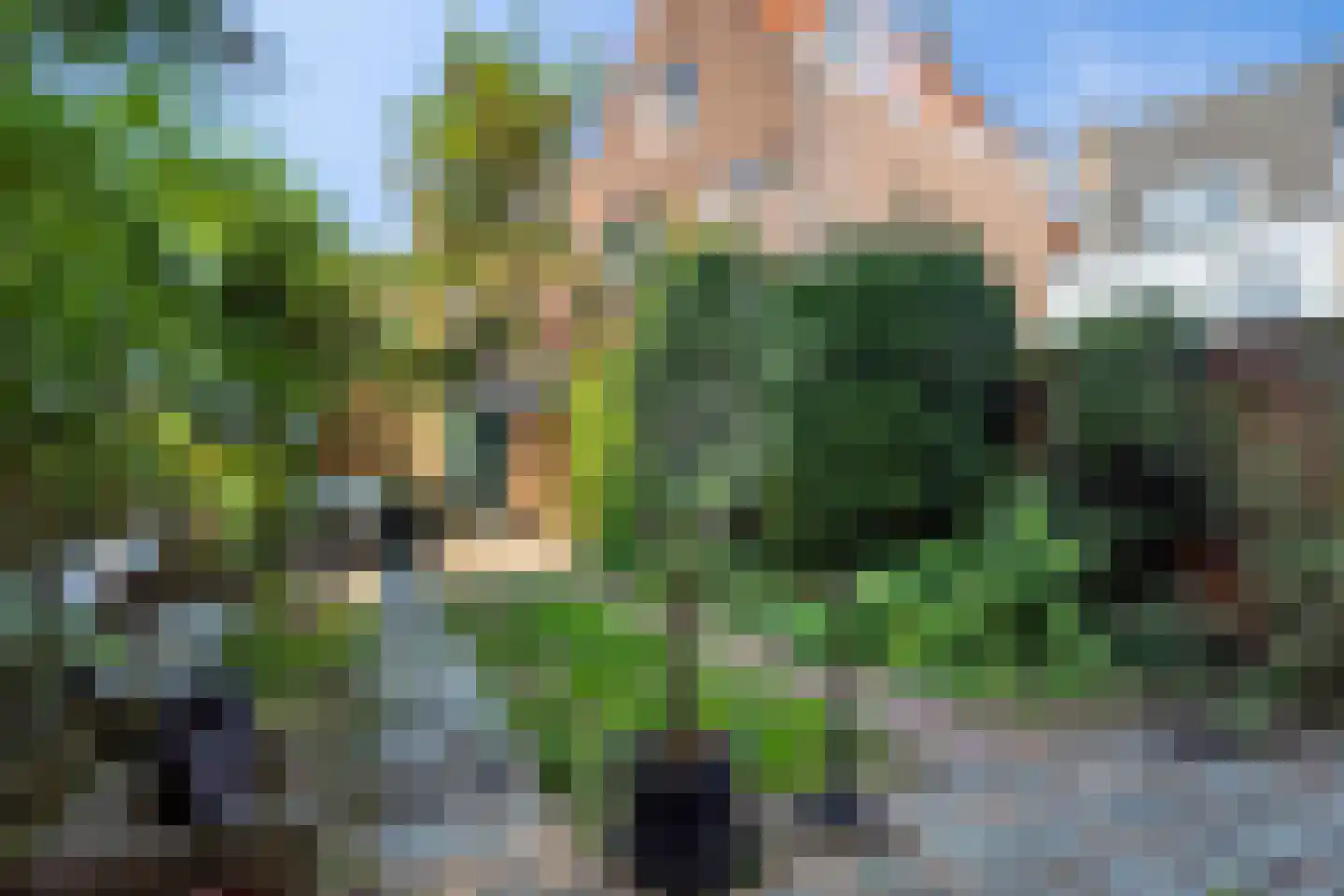 Korte Burg 13 Middelburg thumbnail 34