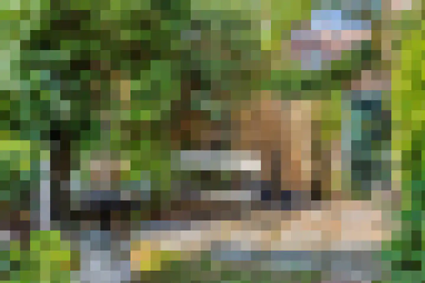 Korte Burg 13 Middelburg thumbnail 35