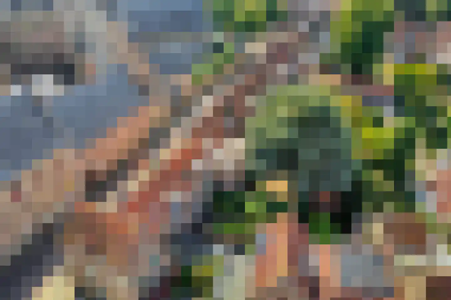 Korte Burg 13 Middelburg thumbnail 39