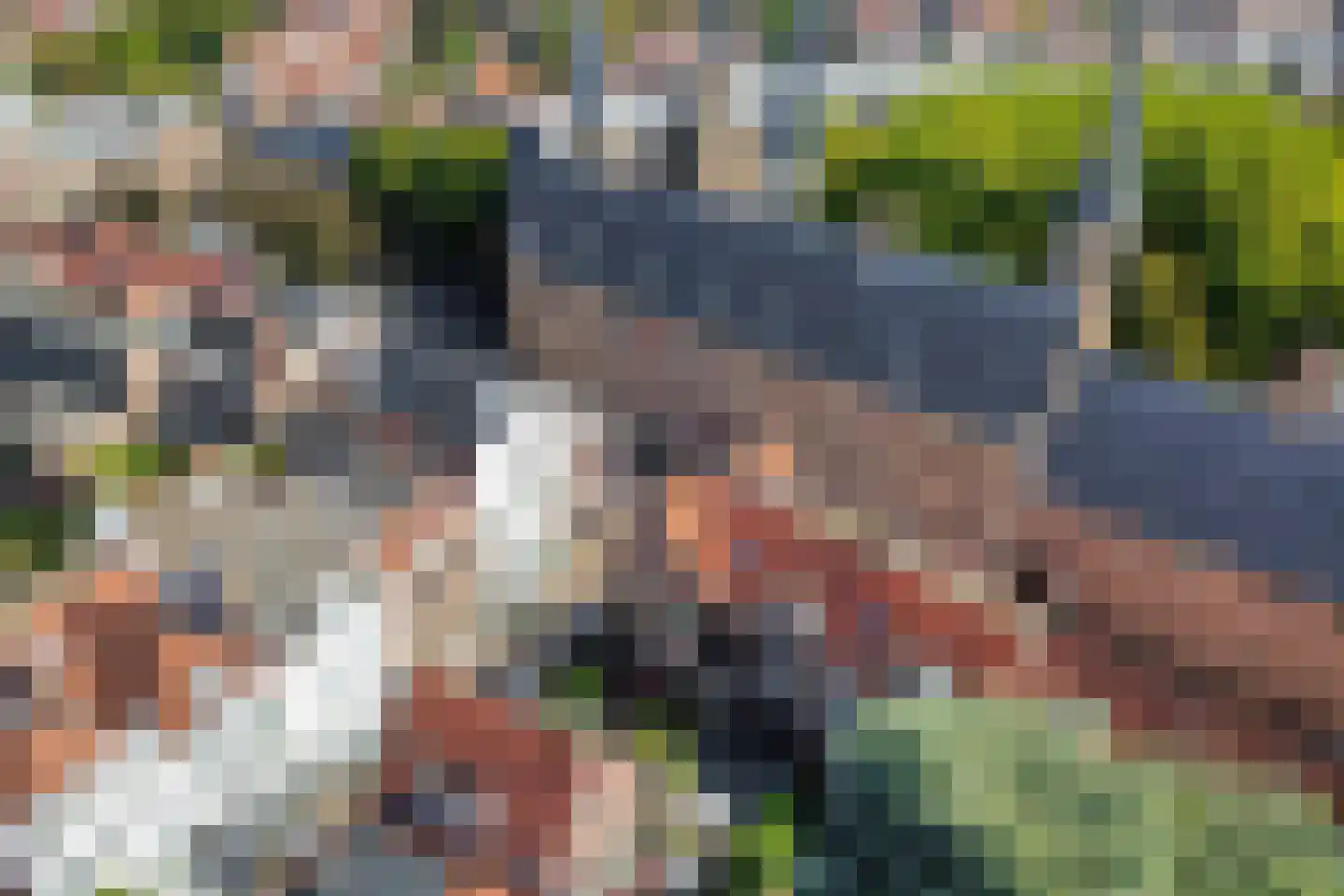 Korte Burg 13 Middelburg thumbnail 40