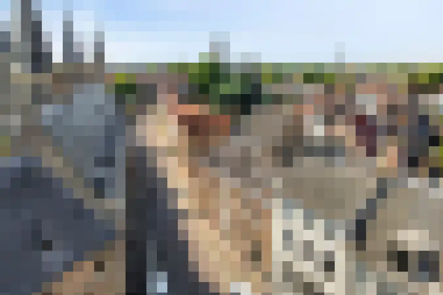 Korte Burg 13 Middelburg thumbnail 41