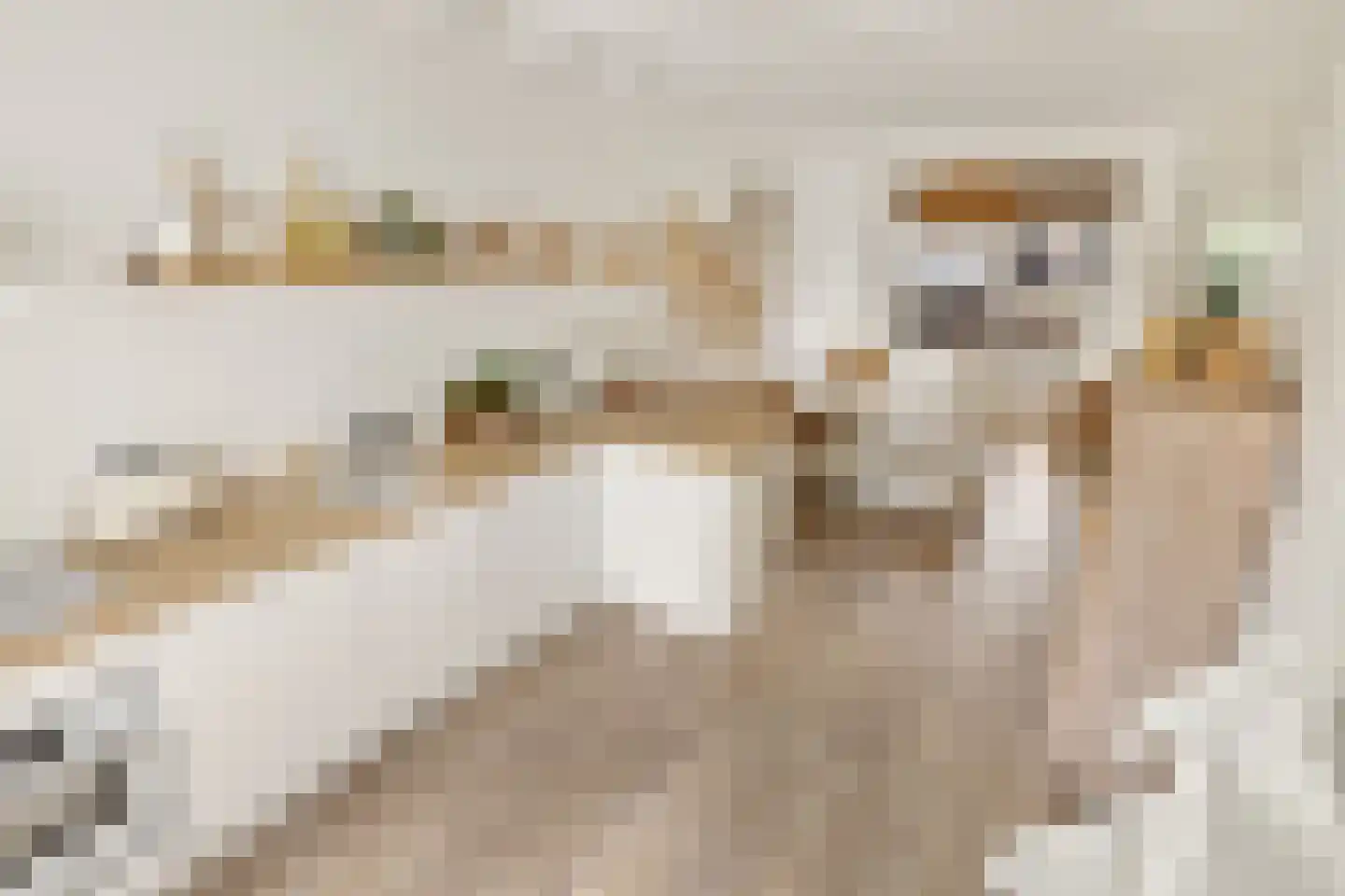 Korte Burgwal 3 Monnickendam thumbnail 12