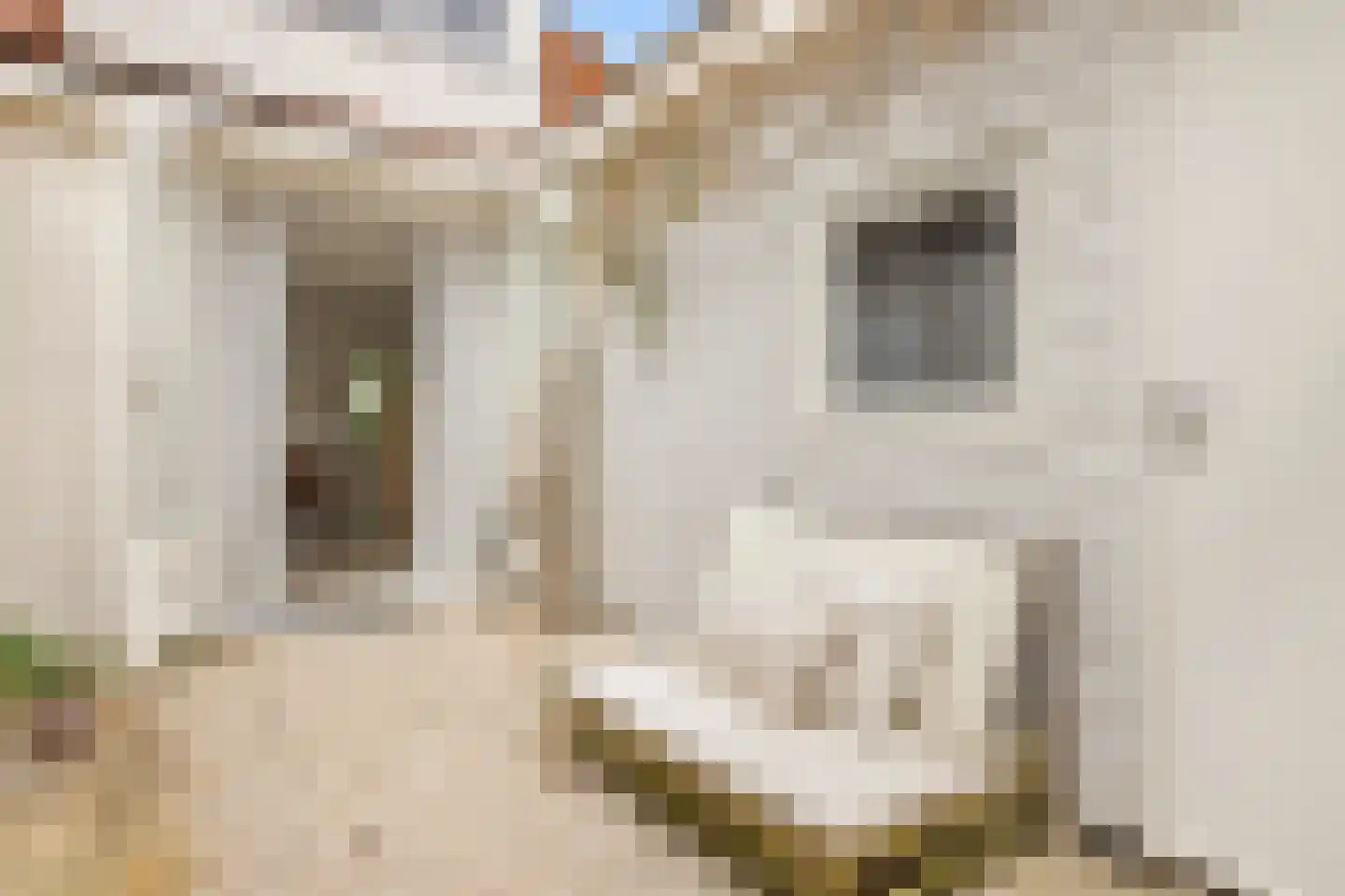 Korte Burgwal 3 Monnickendam thumbnail 15