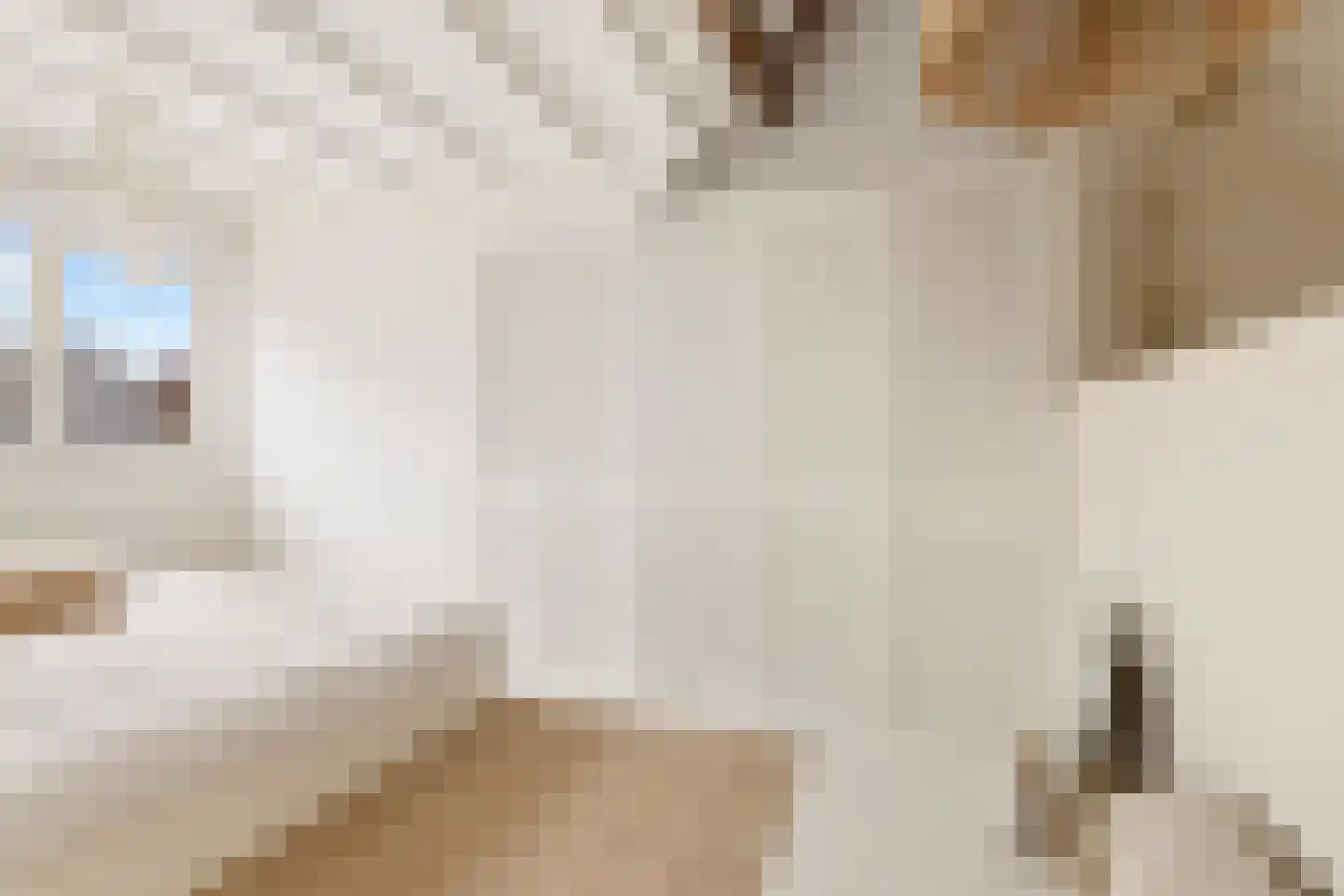 Korte Burgwal 3 Monnickendam thumbnail 24
