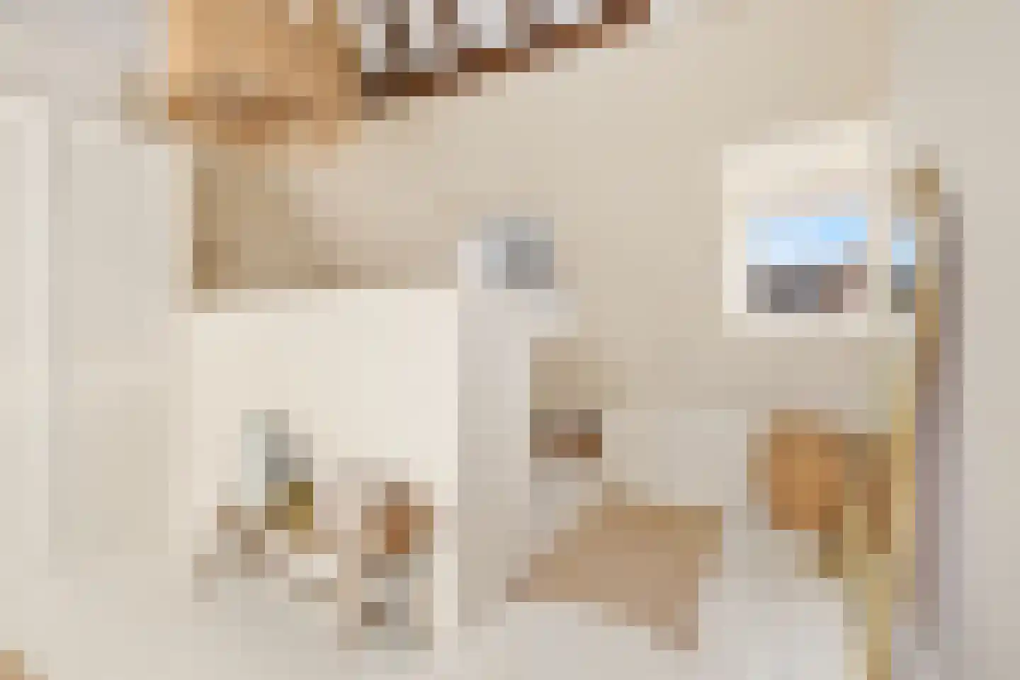 Korte Burgwal 3 Monnickendam thumbnail 26