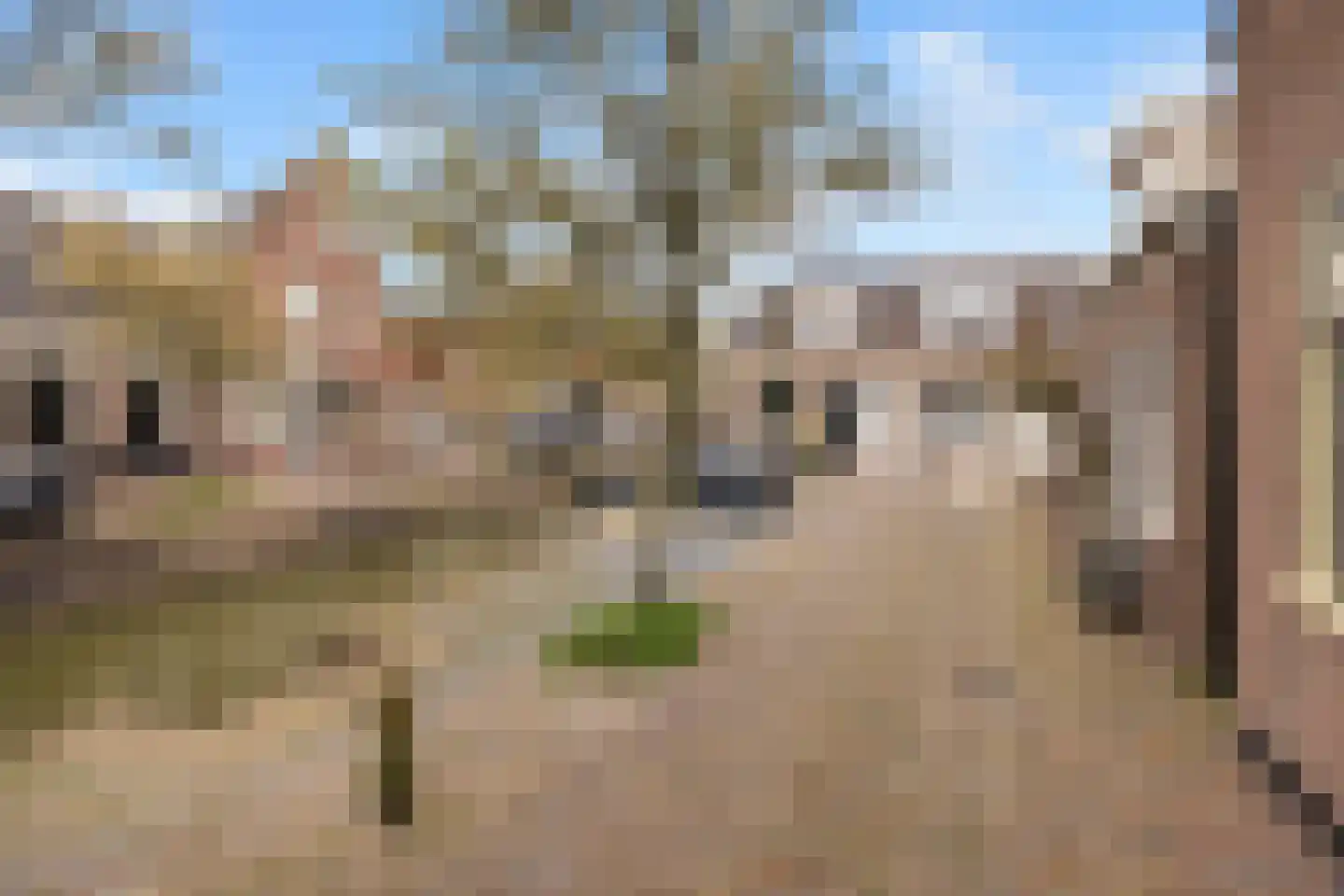 Korte Burgwal 3 Monnickendam thumbnail 35
