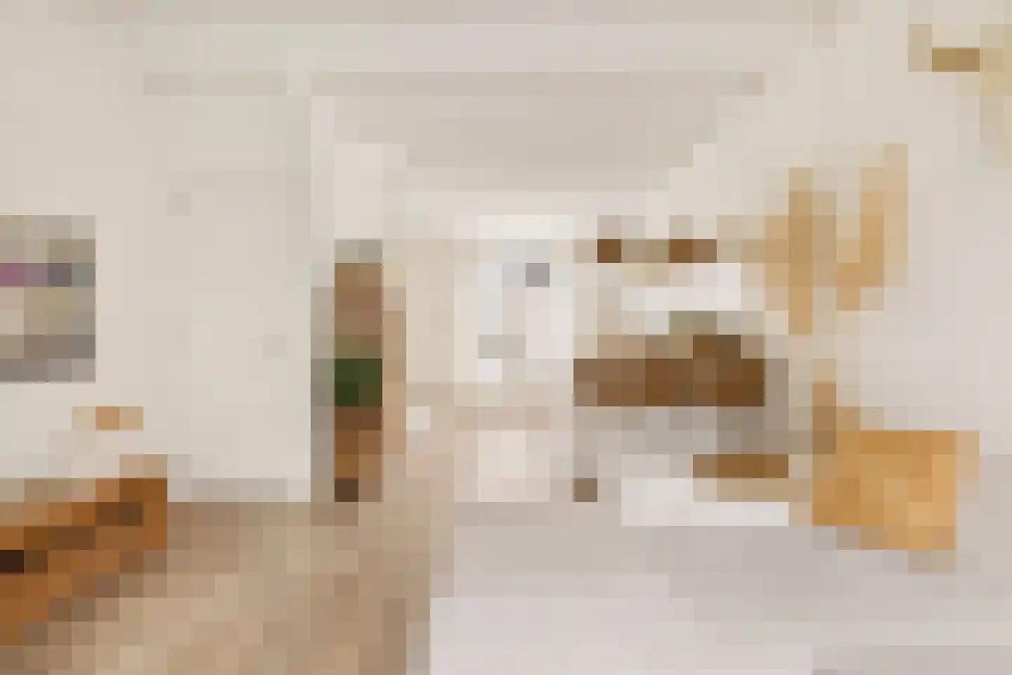 Korte Burgwal 3 Monnickendam thumbnail 8