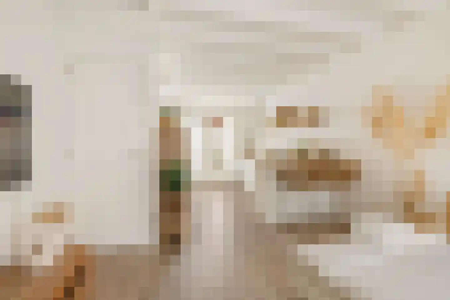 Korte Burgwal 3 Monnickendam thumbnail 9
