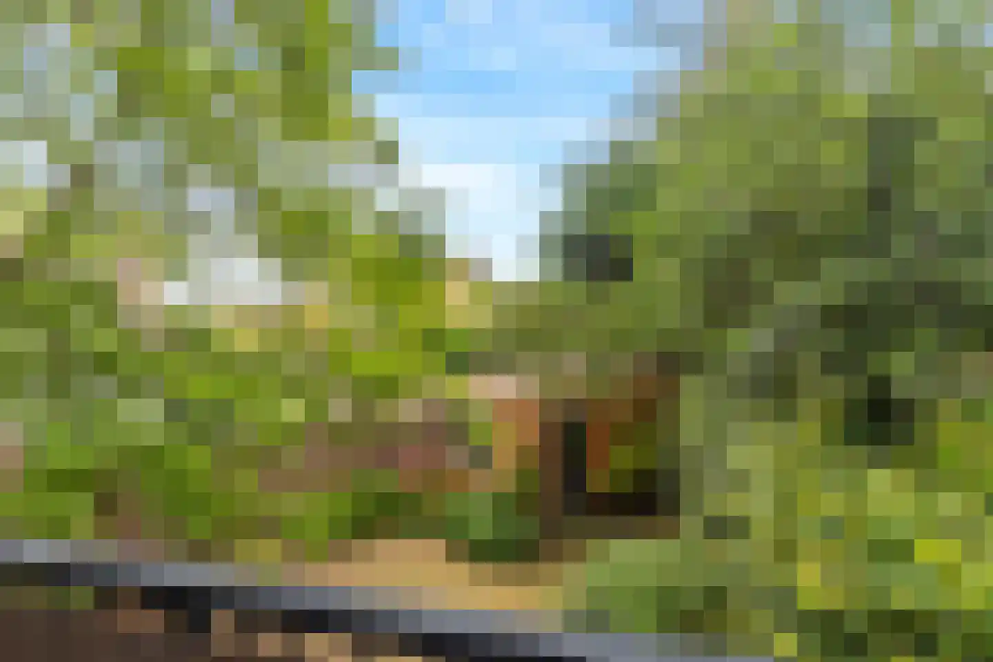 Korte Cieweg 16 Castricum thumbnail 11