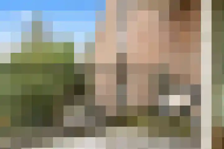 Korte Cieweg 26 Castricum thumbnail 10