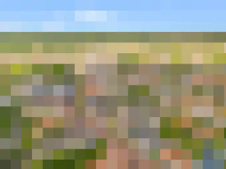 Korte Cieweg 35 Castricum thumbnail 35