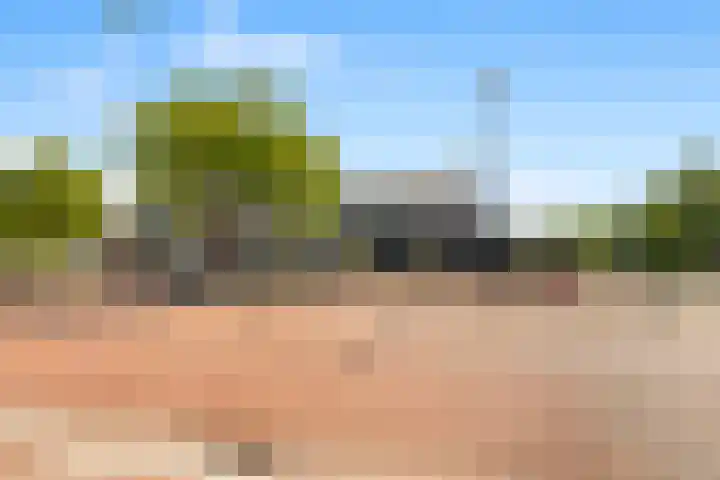 Korte Cieweg 35 Castricum thumbnail 38