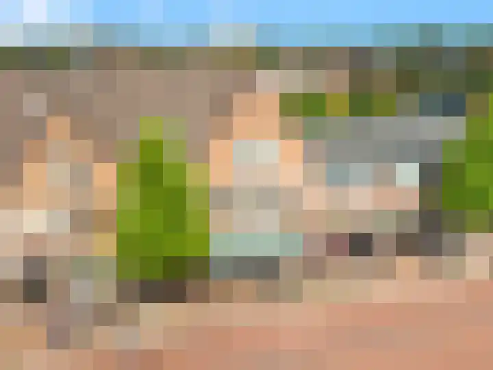 Korte Cieweg 35 Castricum thumbnail 40