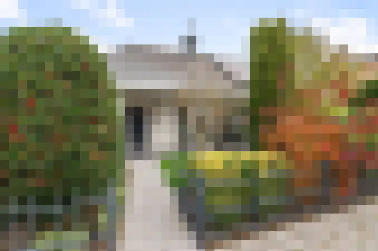 Korte Cieweg 5 Castricum thumbnail 10