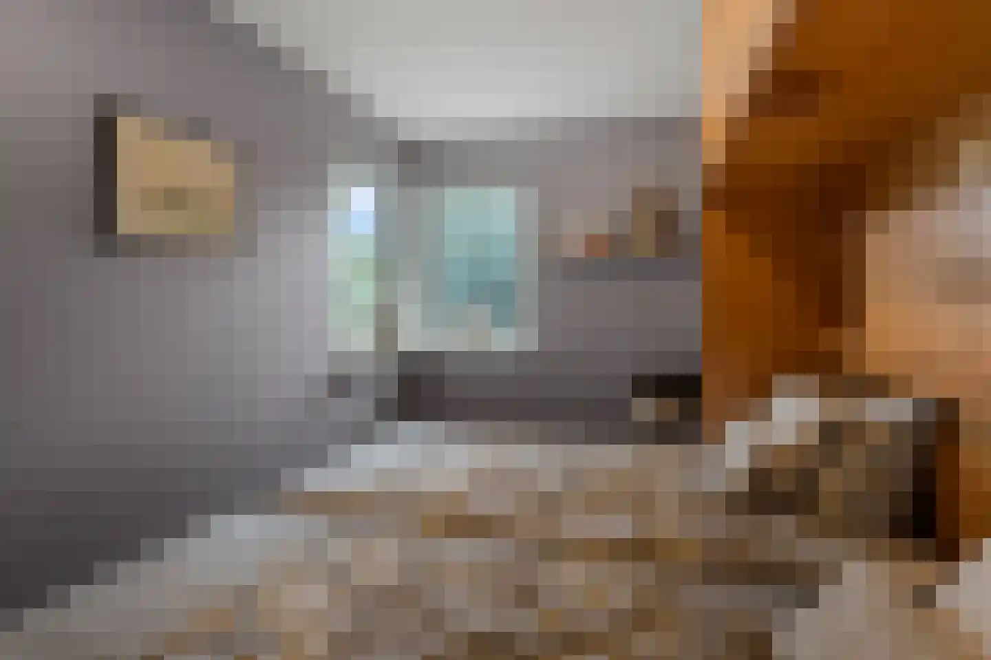 Korte Cieweg 5 Castricum thumbnail 35