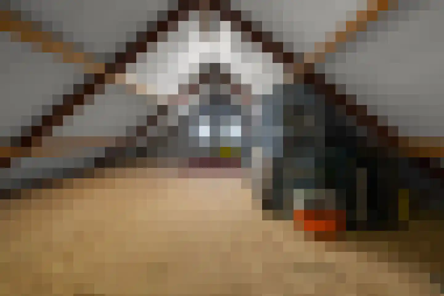 Korte Cieweg 5 Castricum thumbnail 41