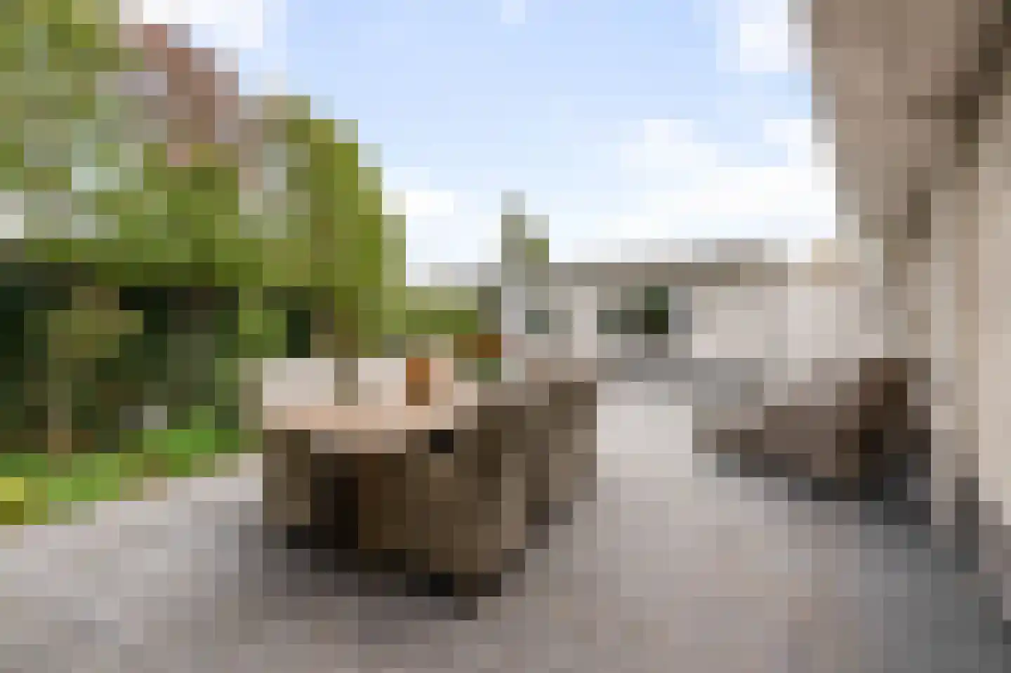 Korte Cieweg 5 Castricum thumbnail 54