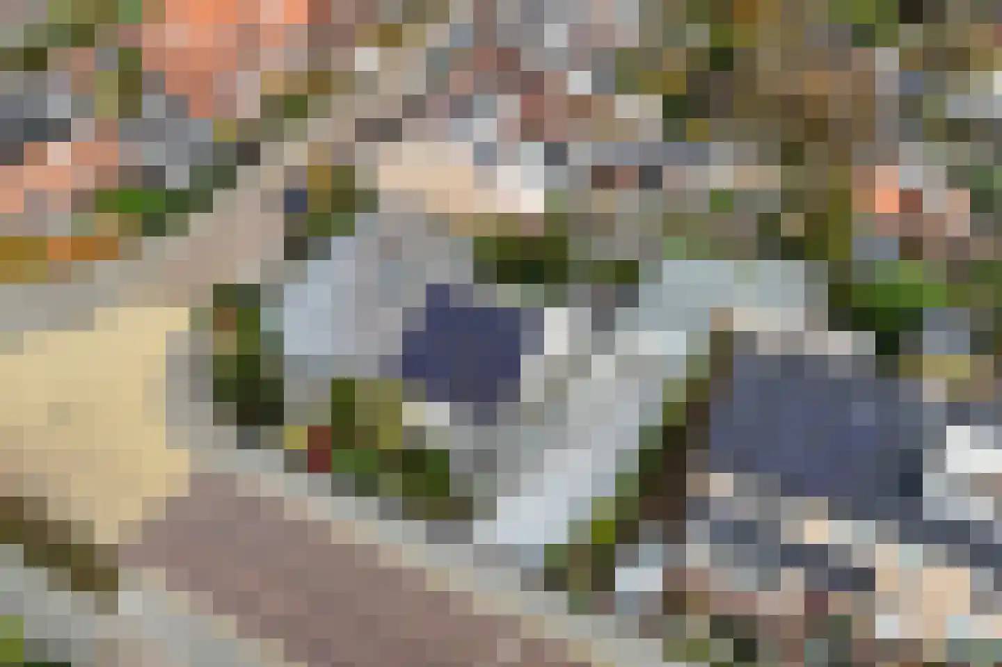 Korte Cieweg 5 Castricum thumbnail 63