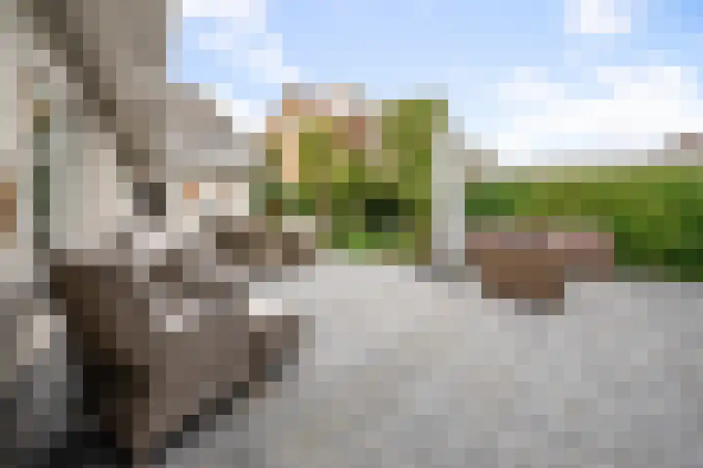 Korte Cieweg 5 Castricum thumbnail 8