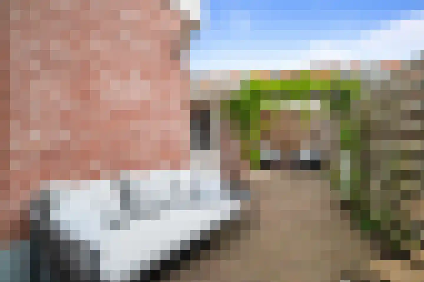 Korte Davostraat 12 Deventer thumbnail 24