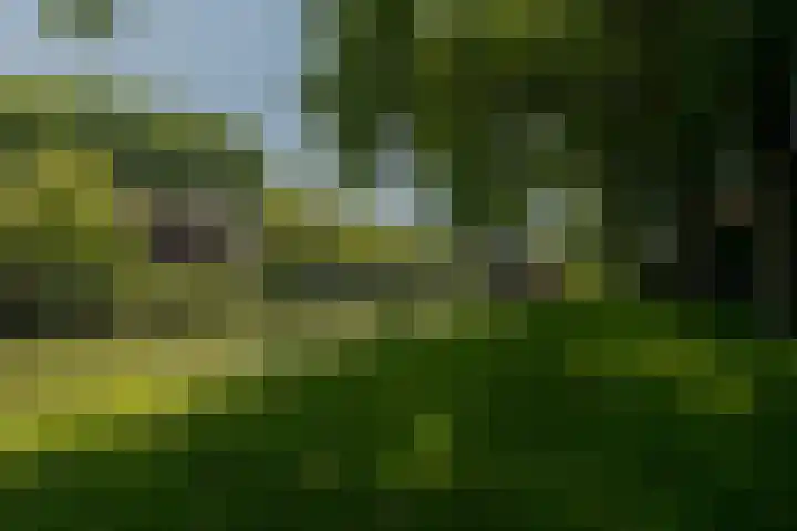 Korte Dijk 11 Schoonhoven thumbnail 63
