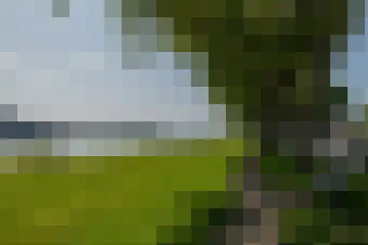 Korte Dijk 11 Schoonhoven thumbnail 65