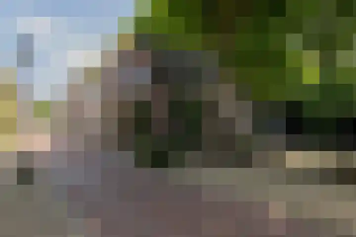 Korte Dijk 11 Schoonhoven thumbnail 7