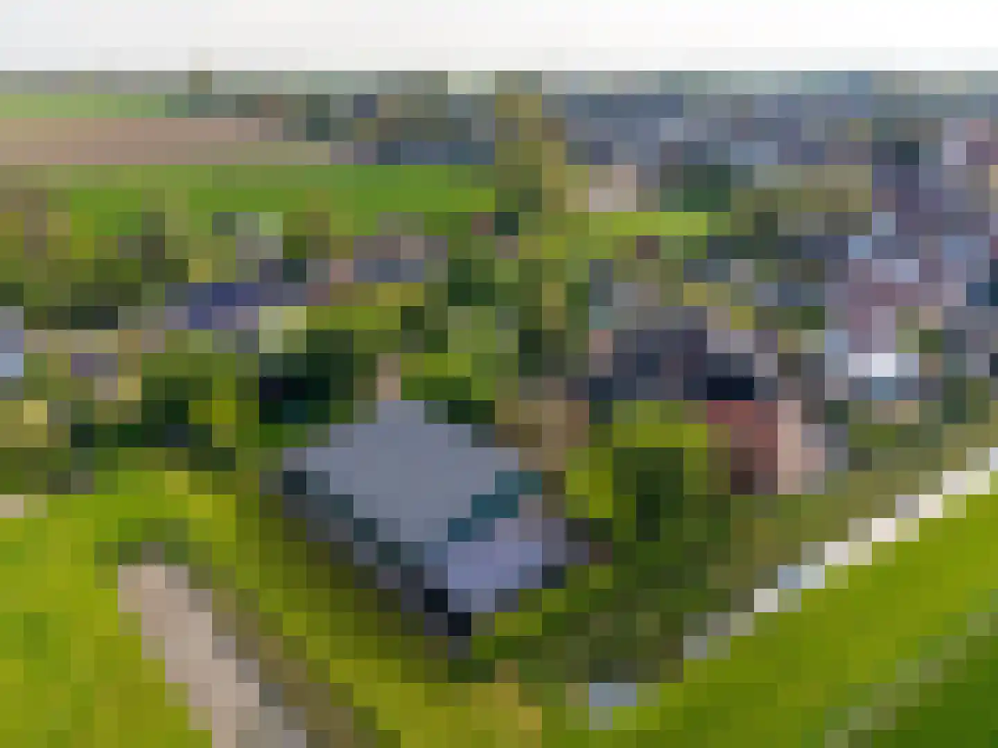 Korte Dijk 15 Hank thumbnail 26