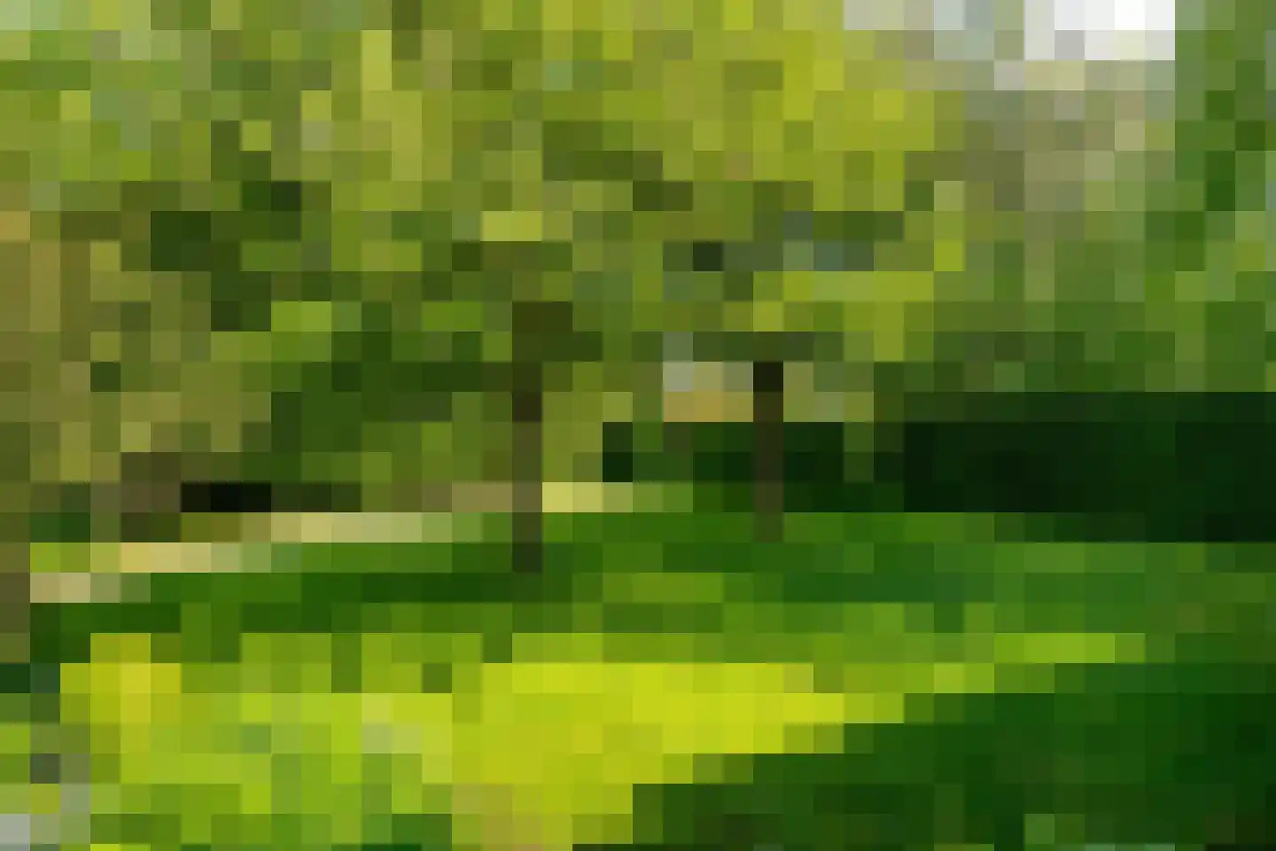 Korte Dijk 15 Hank thumbnail 28