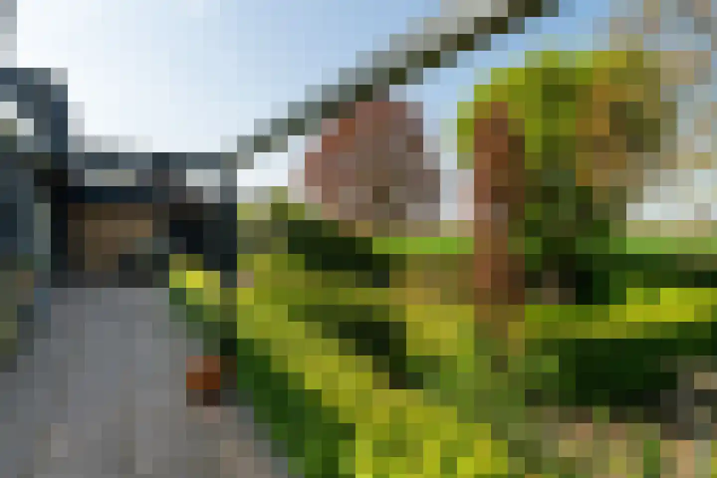 Korte Dijk 15 Hank thumbnail 29