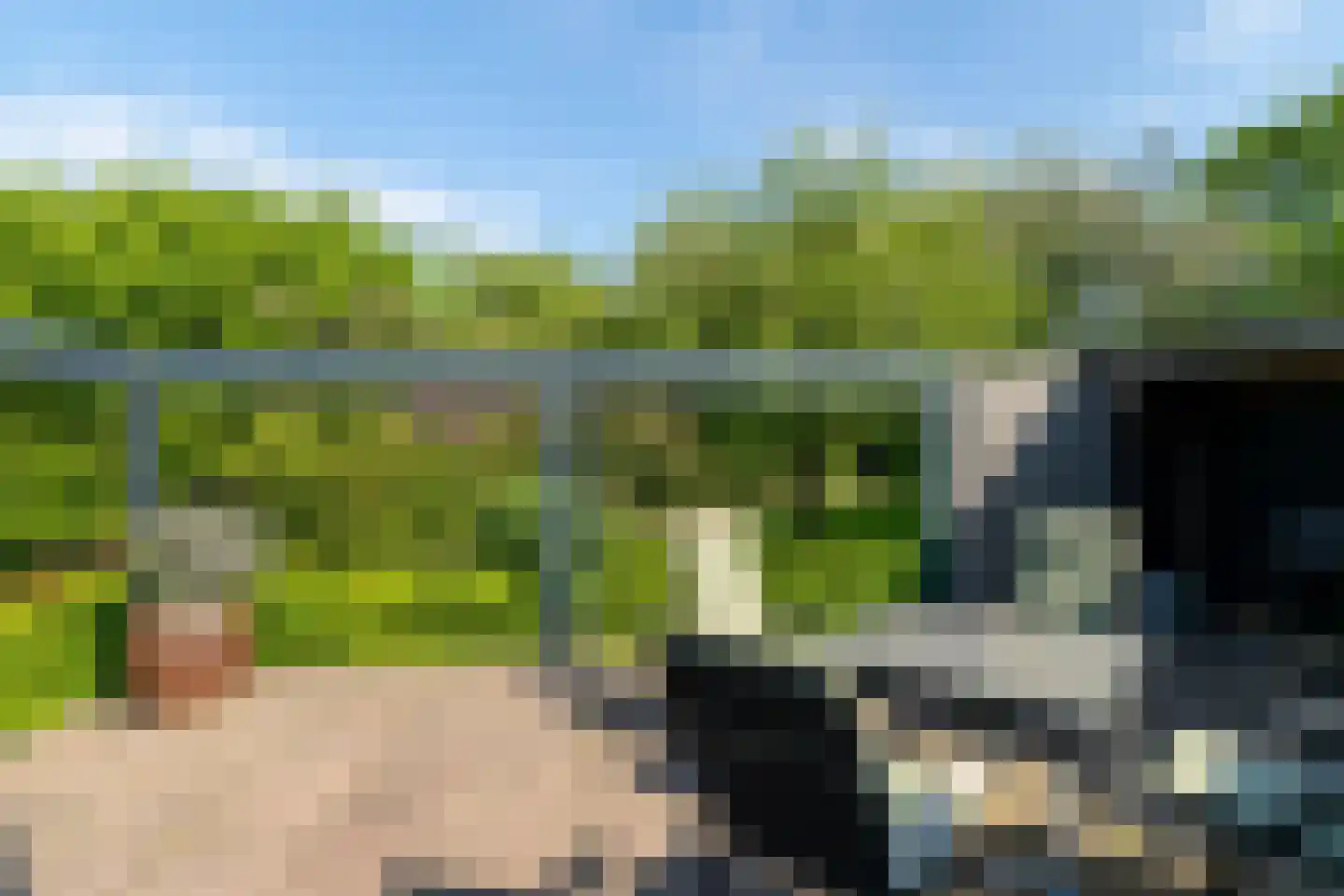Korte Dijk 15 Hank thumbnail 31