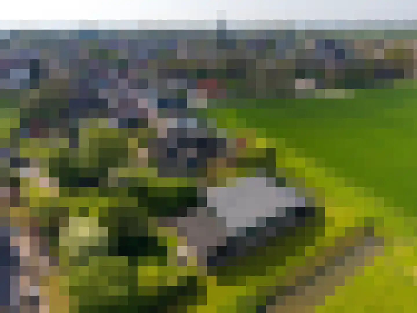 Korte Dijk 15 Hank thumbnail 4