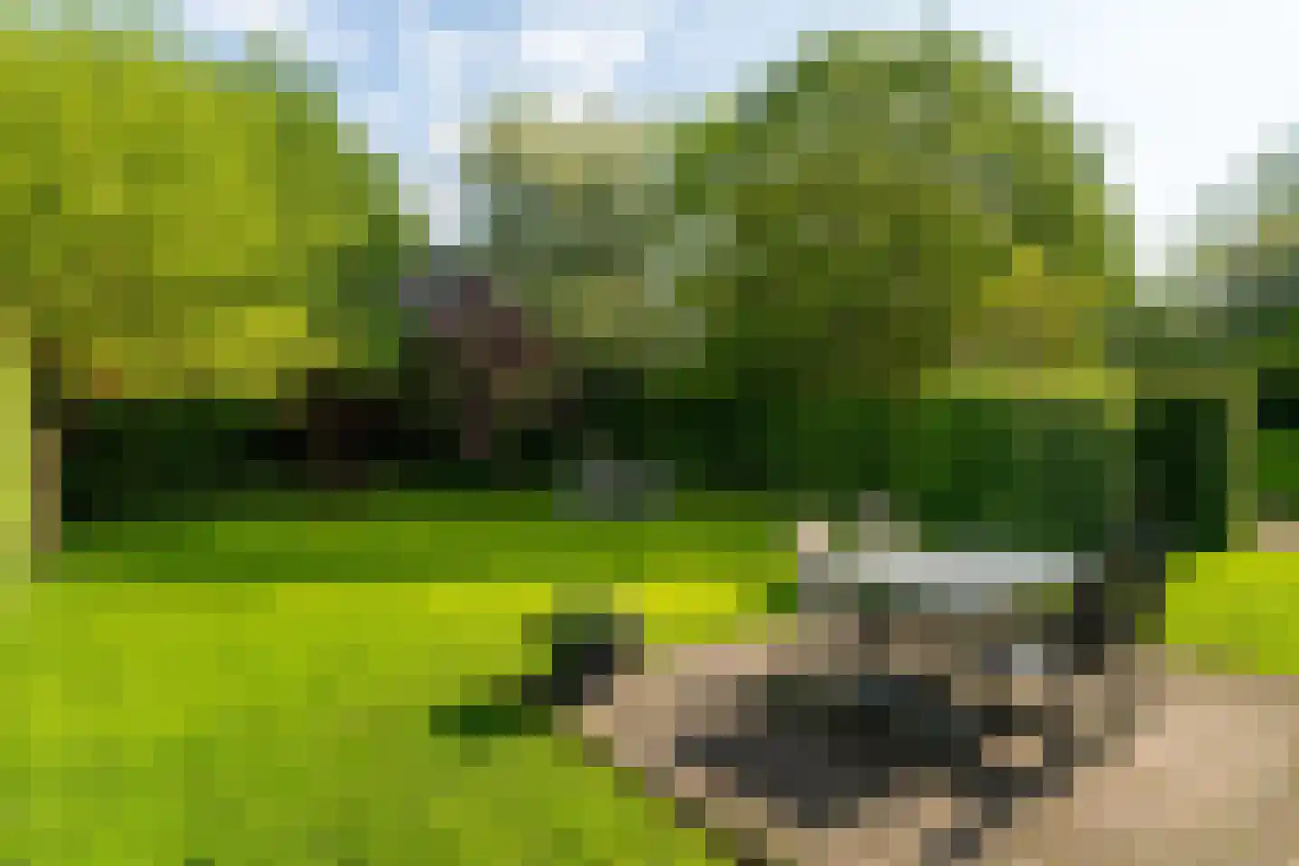 Korte Dijk 15 Hank thumbnail 47