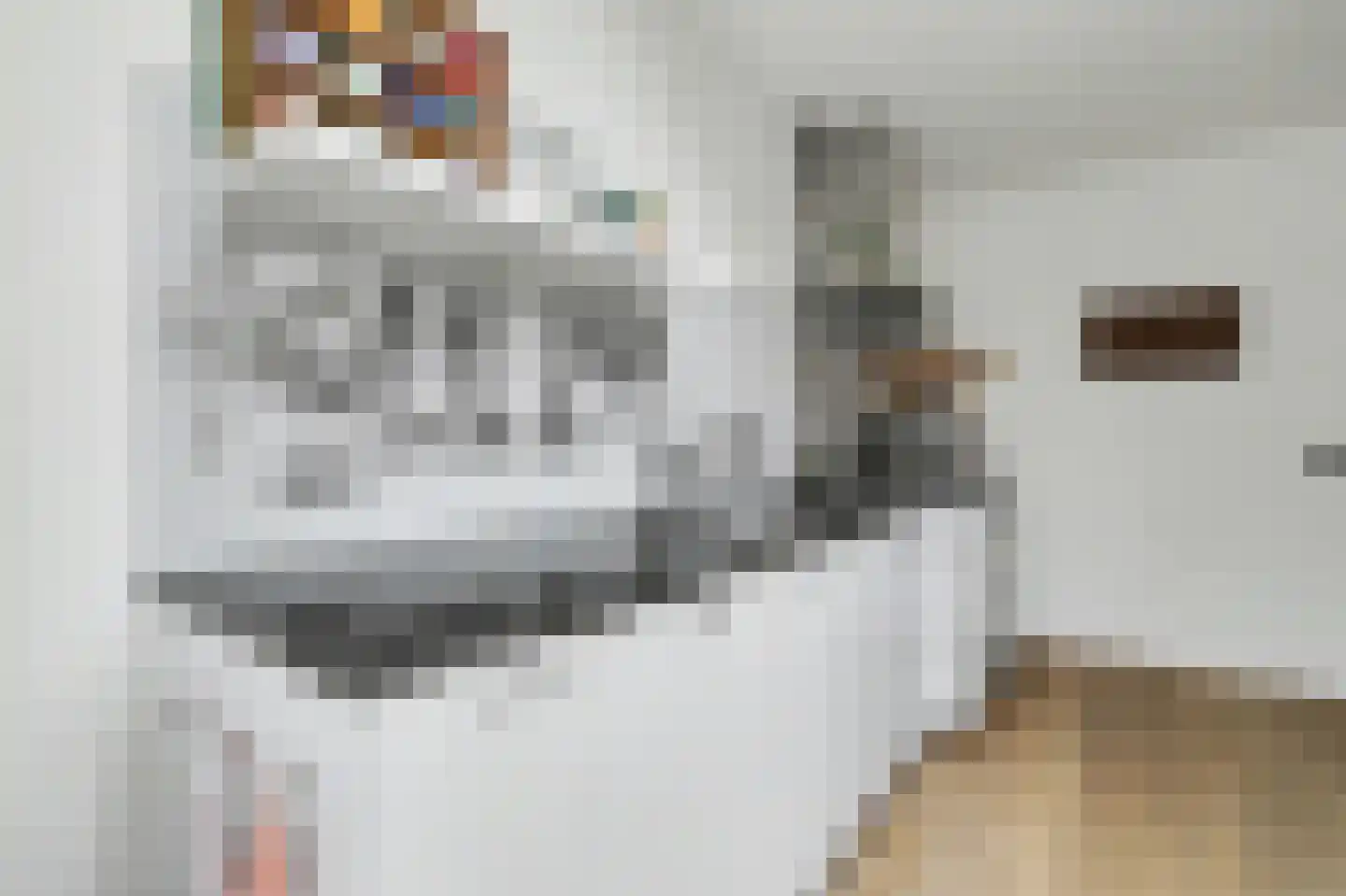 Korte Dijk 24 Hilvarenbeek thumbnail 11