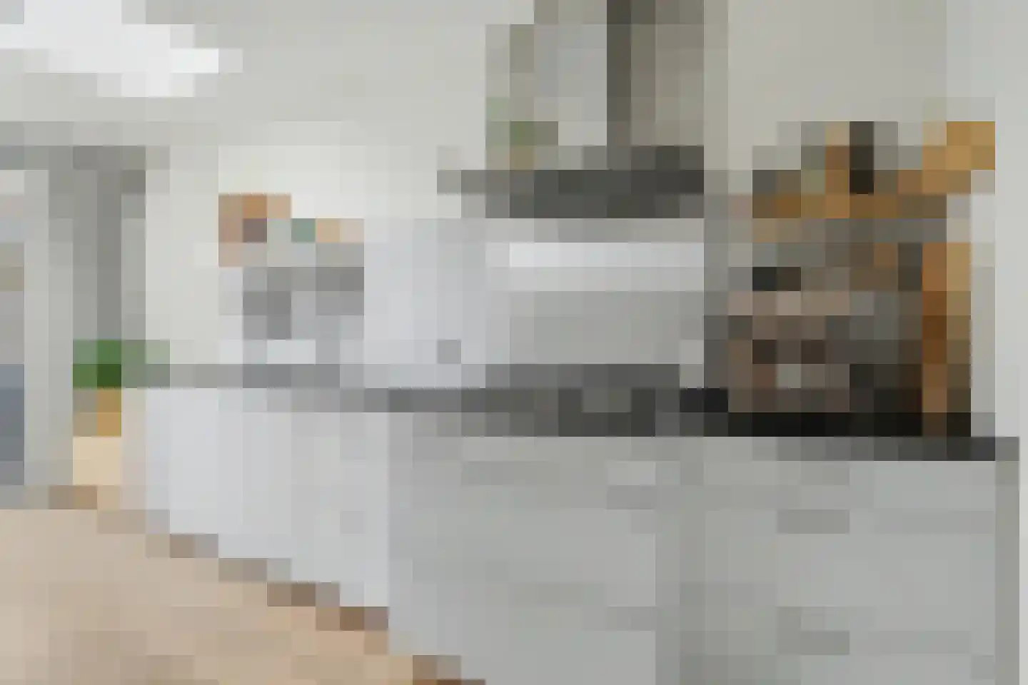 Korte Dijk 24 Hilvarenbeek thumbnail 12