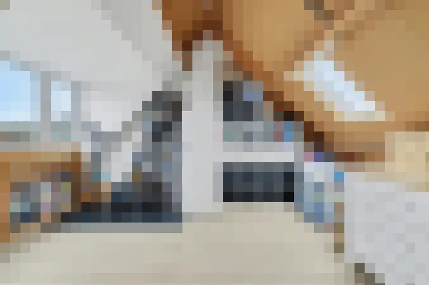 Korte Dijk 24 Hilvarenbeek thumbnail 21
