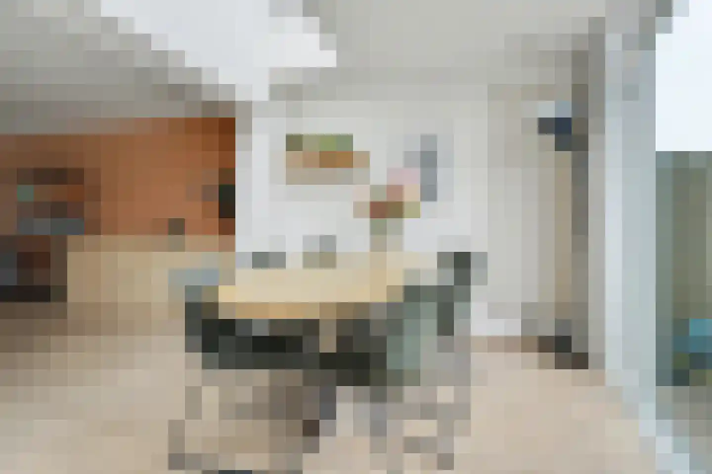 Korte Dijk 24 Hilvarenbeek thumbnail 9