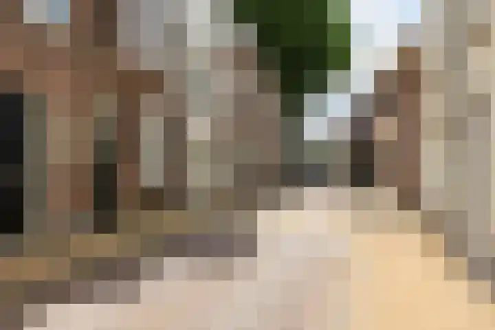 Korte Dijk 29 Schoonhoven thumbnail 48