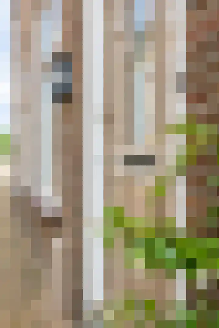 Korte Dijk 29 Schoonhoven thumbnail 87