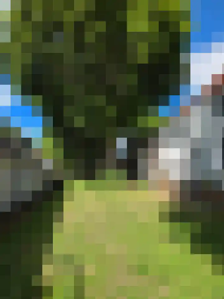 Korte Dijk 29 Schoonhoven thumbnail 90