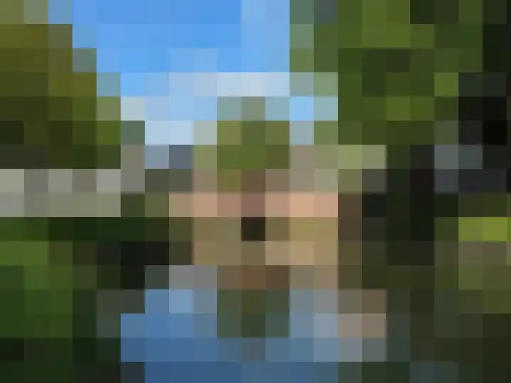 Korte Dijk 29 Schoonhoven thumbnail 94