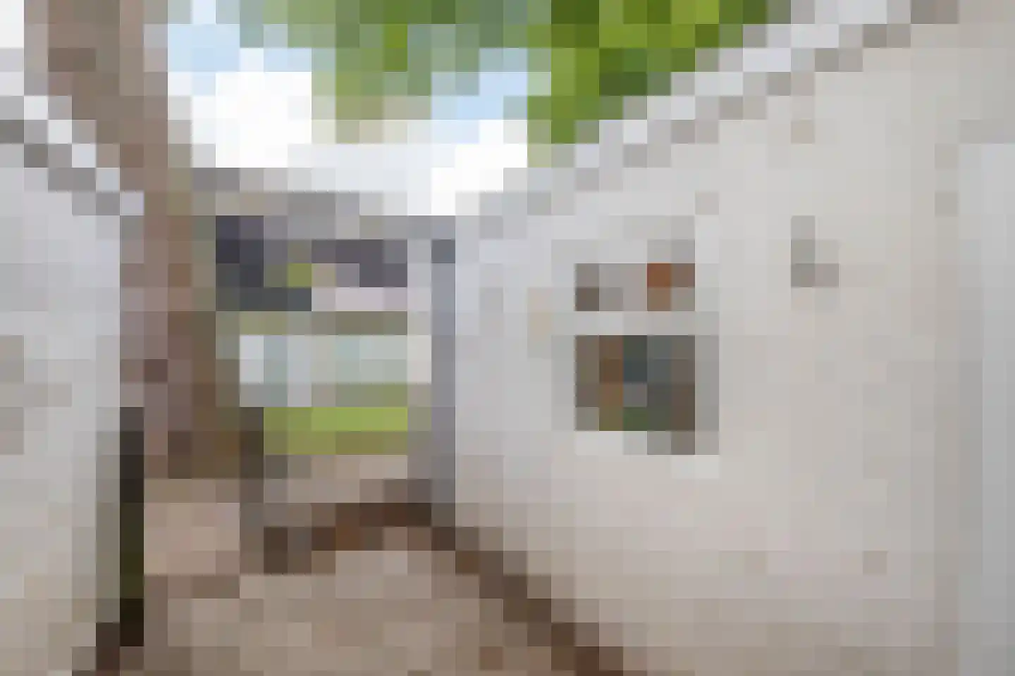 Korte Dijk 33 Schoonhoven thumbnail 28